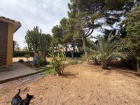 Villa with large frontline plot in Cabo Roig with stunning panoramic seaviews and great potential